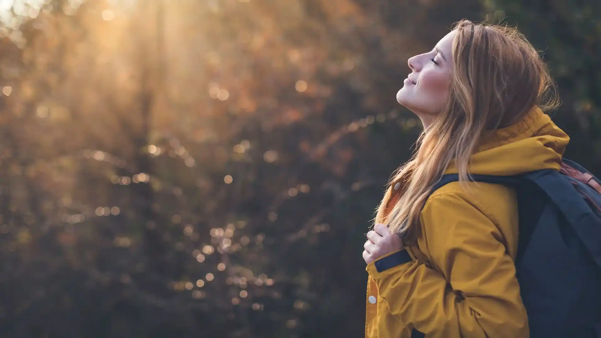 Trauma Root Recovery Program One